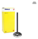 Válvula Escape E Admissão Fazer Lander Tenere 250 Metal Leve - Next Gear