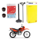 Válvulas Escape Admissão + Retentores Cg125 Fan Titan 02-04 - Next Gear